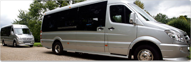 Mercedes Mini Bus